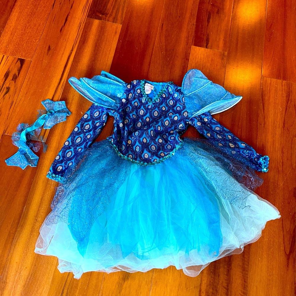 Beautiful fish, princess costume from chasing fireflies